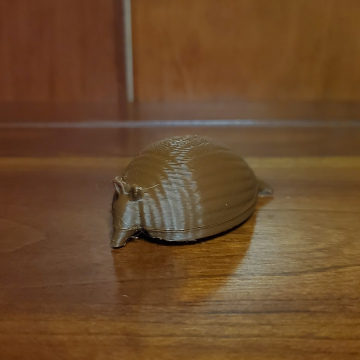 Armadillo
