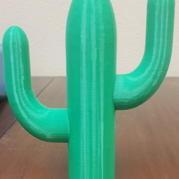 Cactus
